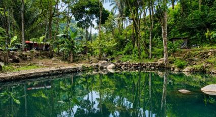 ¿Cómo llegar al balneario de manantiales naturales en Morelos con entrada para niños por 140 pesos?