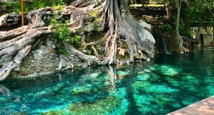 ¿Cómo llegar en autobús al balneario de Morelos con manantiales naturales y tirolesa?