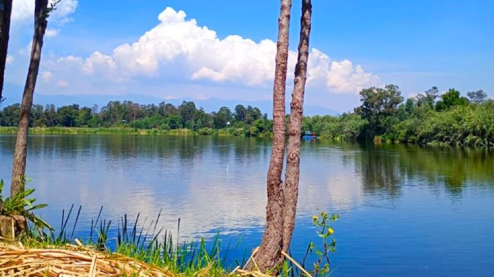 El parque natural de CDMX con lagos y ajolotes que debes conocer este verano