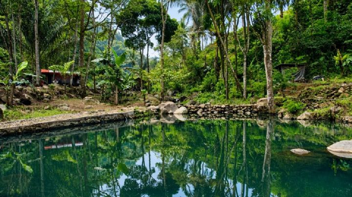 ¿Cómo llegar al balneario de manantiales naturales en Morelos con entrada para niños por 140 pesos?