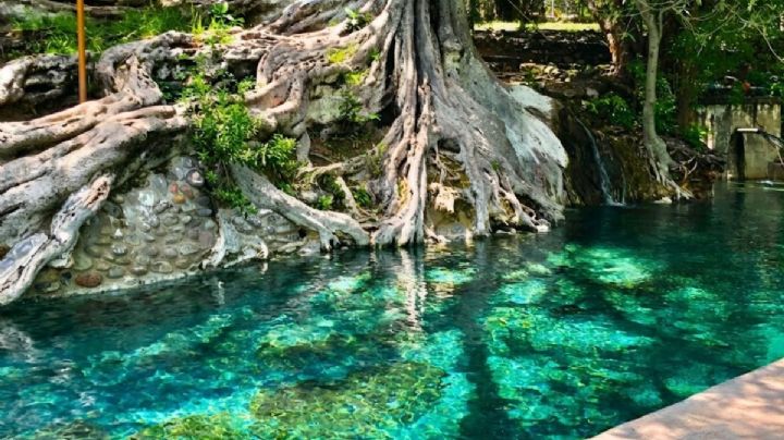 ¿Cómo llegar en autobús al balneario de Morelos con manantiales naturales y tirolesa?