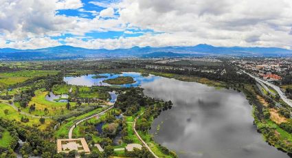 ¿Cómo llegar al parque natural de CDMX con lagos y ajolotes para conocer en el verano?