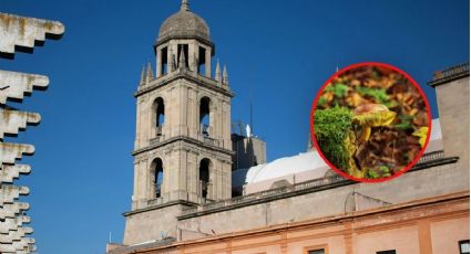 Toluca tendrá Festival del Bosque y los Hongos 2026: cuándo y dónde