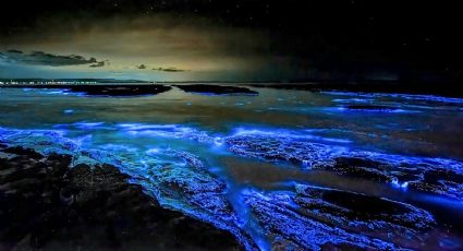 ¡Nada entre estrellas! Las playas con bioluminiscencia que puedes conocer en México