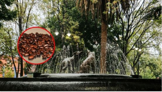 Coyoacán se prepara para la Feria Artesanal del Café y Chocolate 2026: cuándo y dónde
