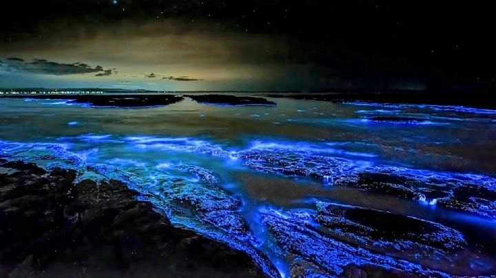 ¡Nada entre estrellas! Las playas con bioluminiscencia que puedes conocer en México