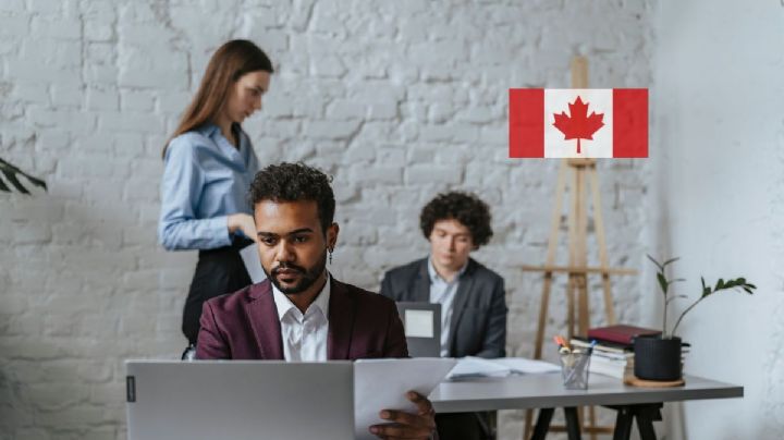 ¿Buscas chamba? Embajada de Canadá en México abre vacante con prestaciones