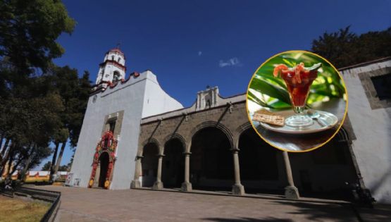 ¿Cómo llegar en el Tren El Insurgente al pueblito cerca de Toluca que hará la Feria del Marisco?