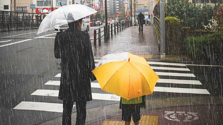 Clima en México: ¿Habrá lluvias hoy 19 de agosto en CDMX?