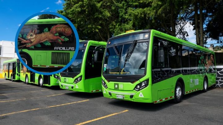 ¿Cuáles son las nuevas rutas de RTP Las Ardillas y en qué horario?