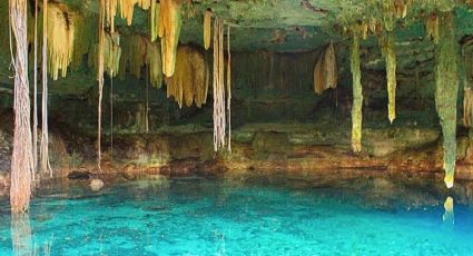 El cenote más bello de Yucatán al que puedes llegar al bajar 15 metros