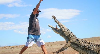 ¿Hay cocodrilos en Puerto Vallarta? Estas son las playas donde se recomienda extremar precauciones