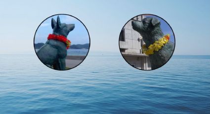 ¡No conocía fronteras! Este perrito cruzaba el mar todos los días para ver a su gran amor
