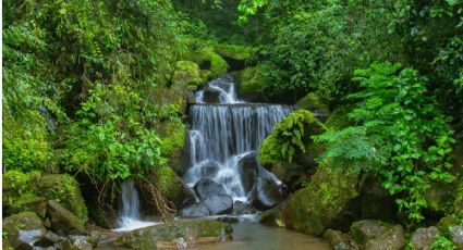 ¿Cuál es el pueblito más cerca de Puebla para disfrutar cascadas y pozas en verano?