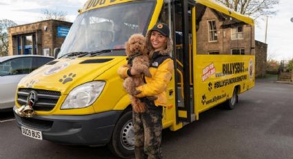 ¡Los pasajeros más tiernos del mundo! Así es el autobús que lleva a decenas de perros a disfrutar del parque