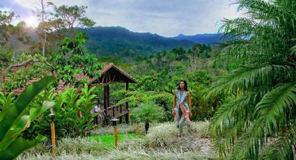 El pueblito de Chiapas con una finca cafetalera de 100 años para viajes entre la naturaleza