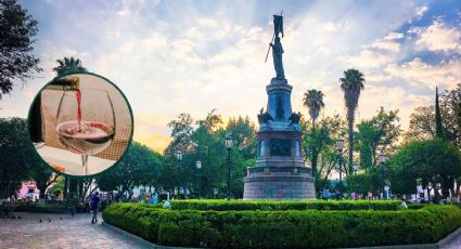 El pueblito de Guanajuato que celebrará la Fiesta del Vino: cuándo y dónde